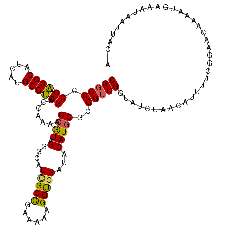 secondary structure