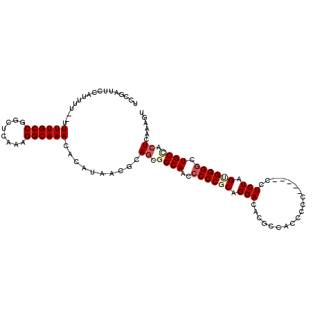 secondary structure