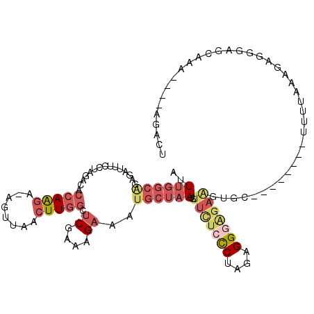 secondary structure