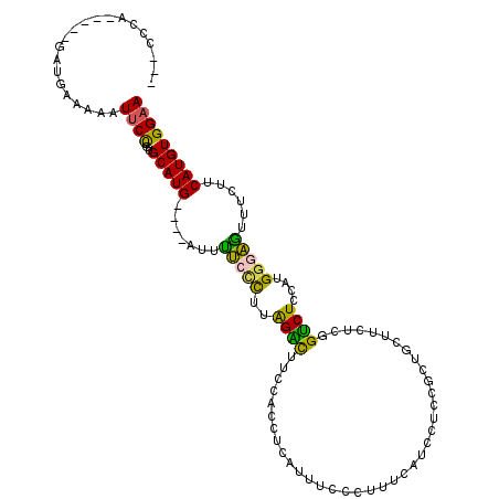 secondary structure