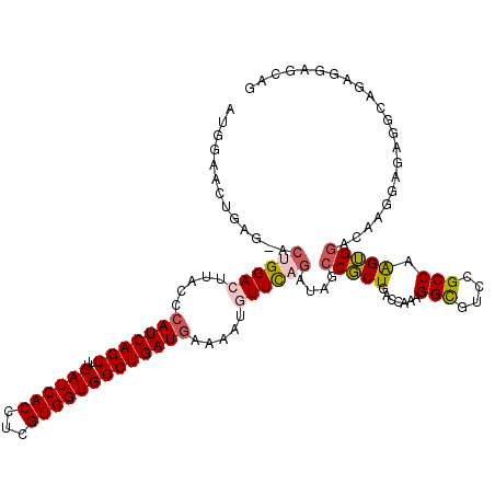 secondary structure