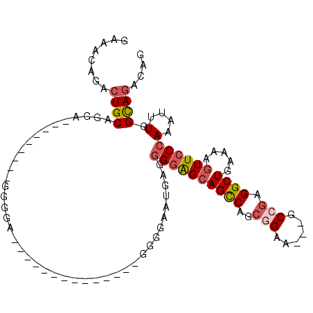 secondary structure