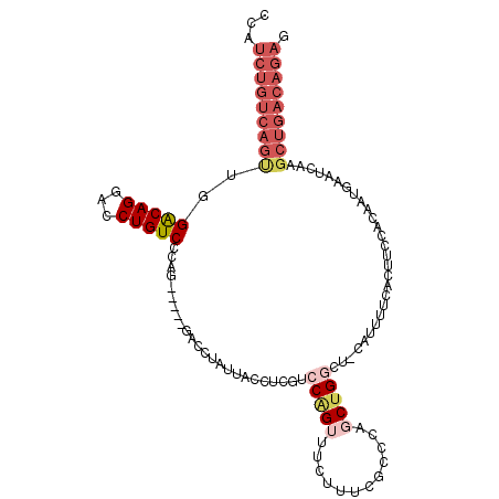 secondary structure