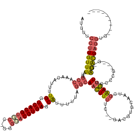 secondary structure