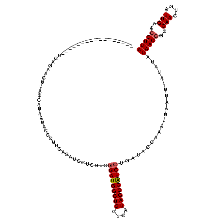 secondary structure