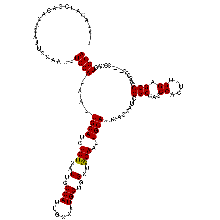 secondary structure