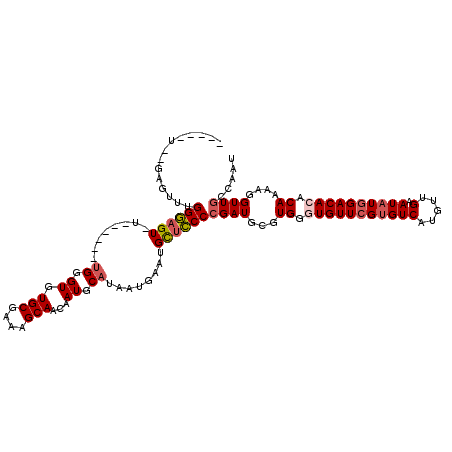secondary structure