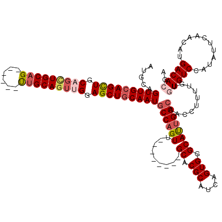 secondary structure