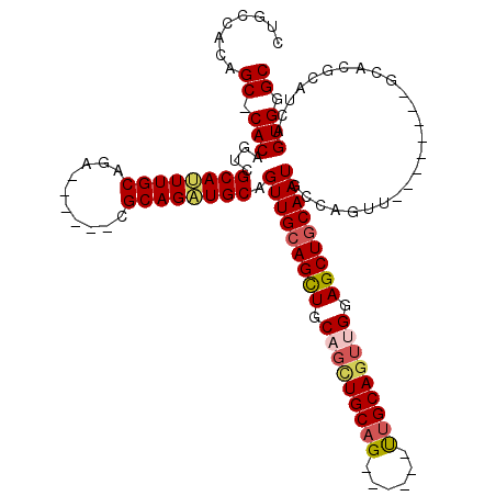 secondary structure