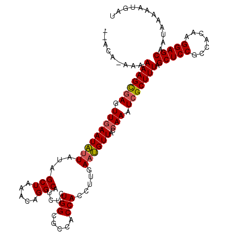 secondary structure