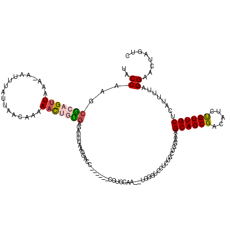 secondary structure