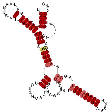 secondary structure
