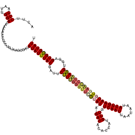 secondary structure