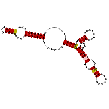 secondary structure