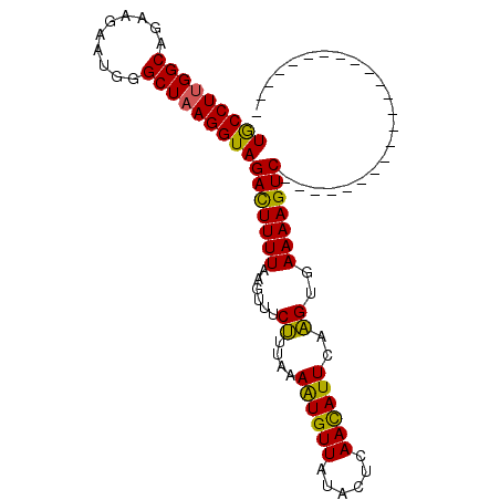 secondary structure