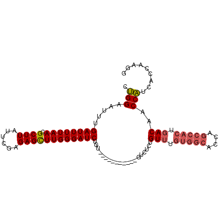 secondary structure