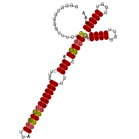 secondary structure