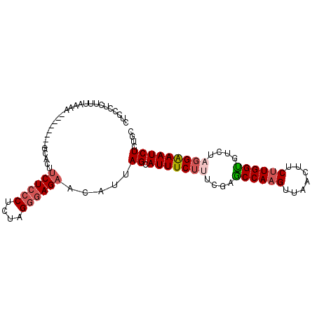 secondary structure