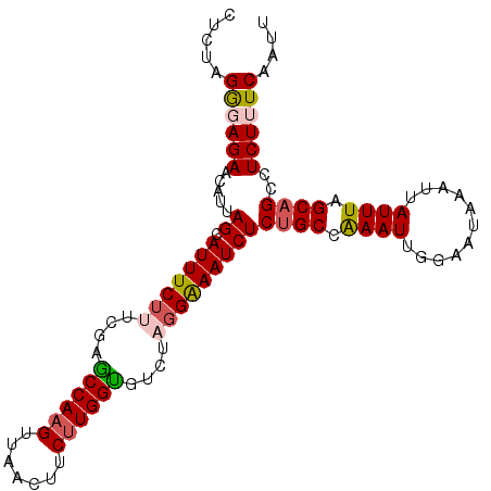 secondary structure