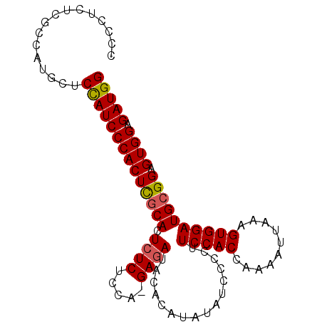 secondary structure