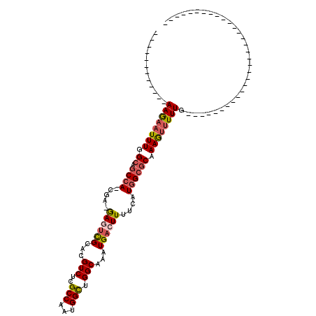 secondary structure
