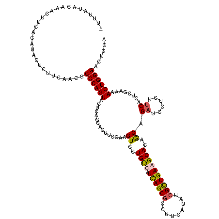 secondary structure