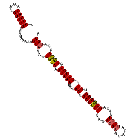secondary structure