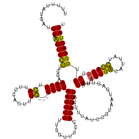 secondary structure