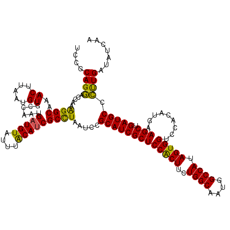 secondary structure