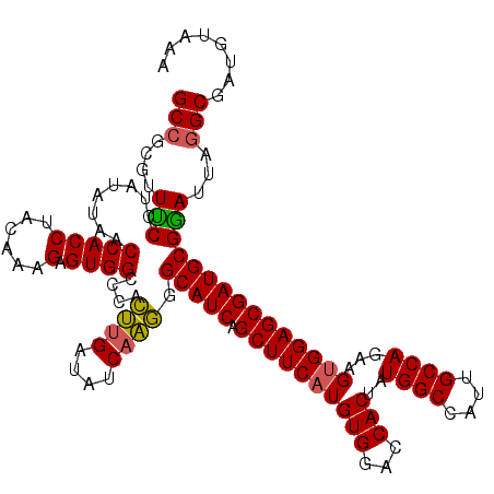 secondary structure
