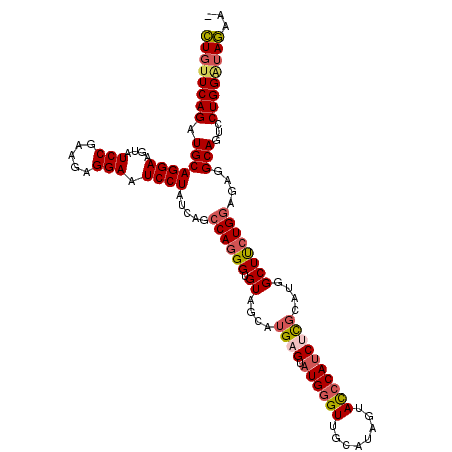 secondary structure