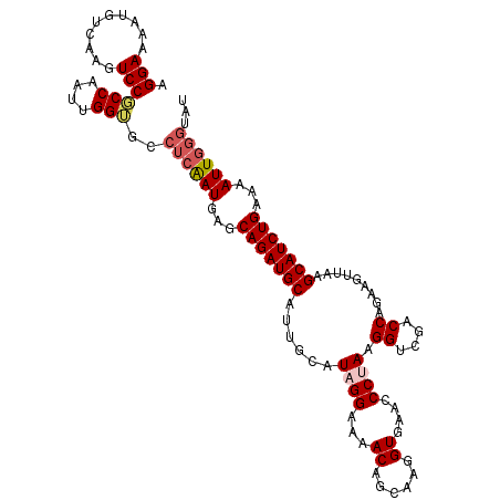secondary structure