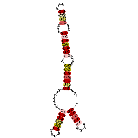 secondary structure