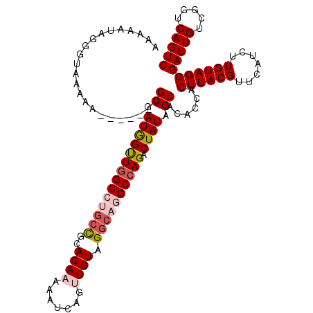 secondary structure