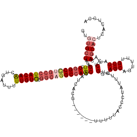 secondary structure