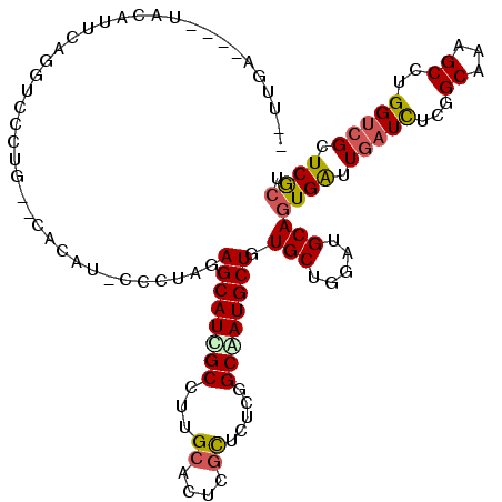 secondary structure