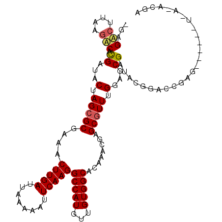 secondary structure
