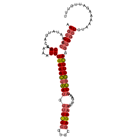 secondary structure