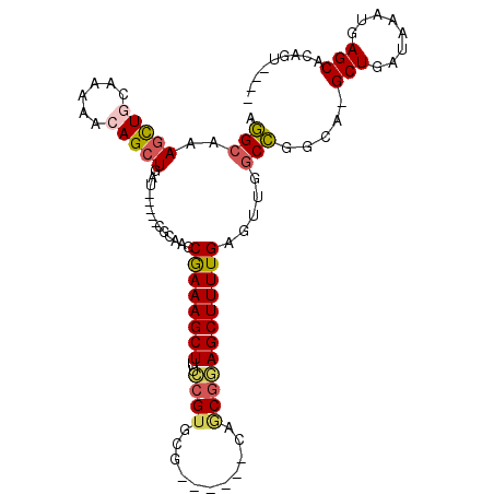secondary structure