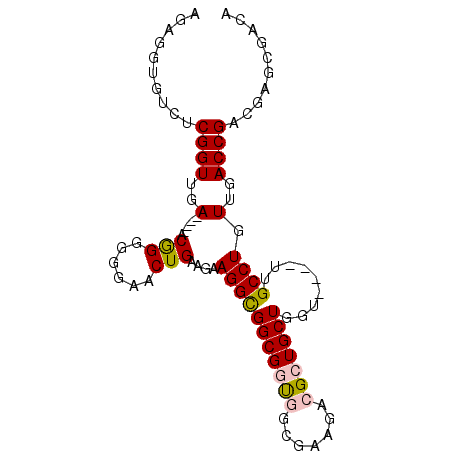 secondary structure