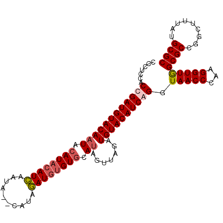 secondary structure