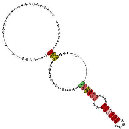 secondary structure