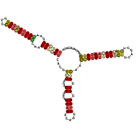 secondary structure