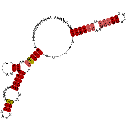 secondary structure