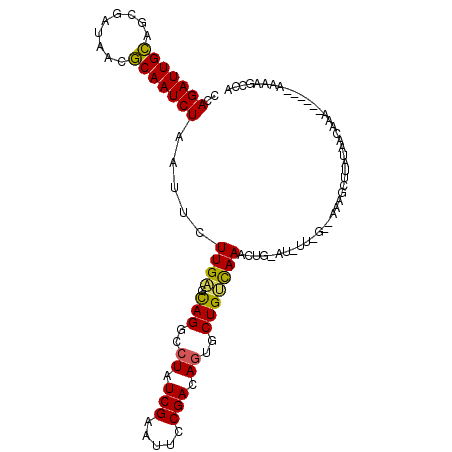 secondary structure