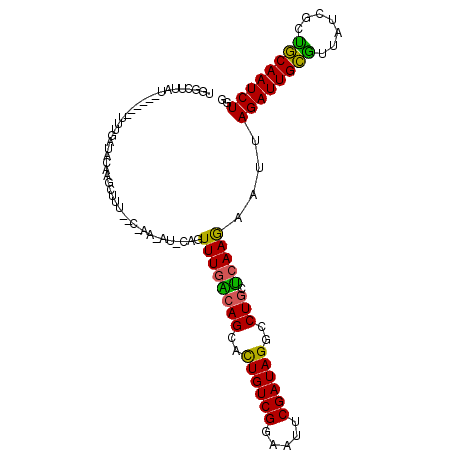 secondary structure