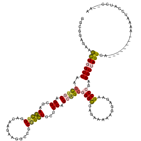 secondary structure