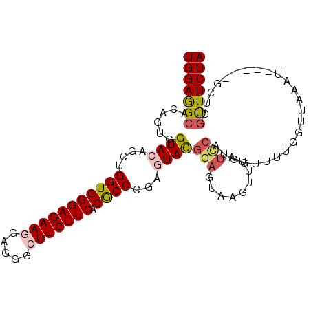 secondary structure