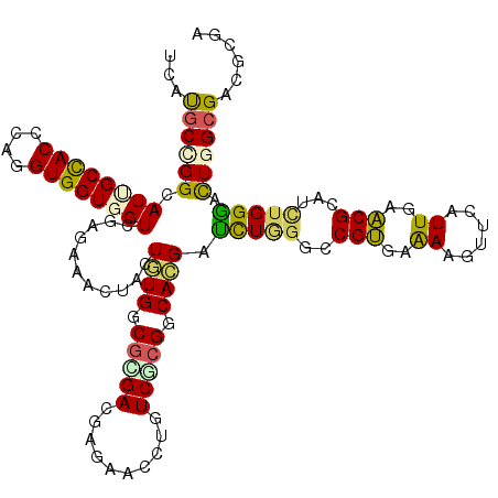secondary structure