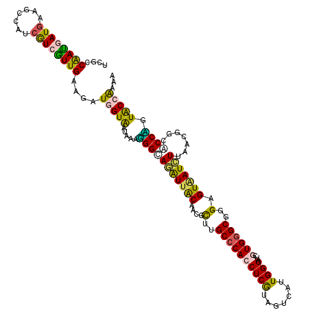 secondary structure